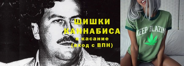 мдпв Михайлов