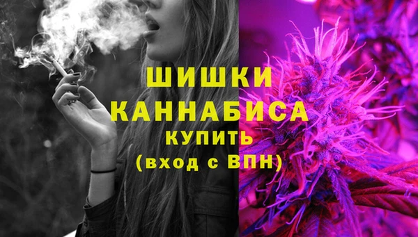 мдпв Михайлов
