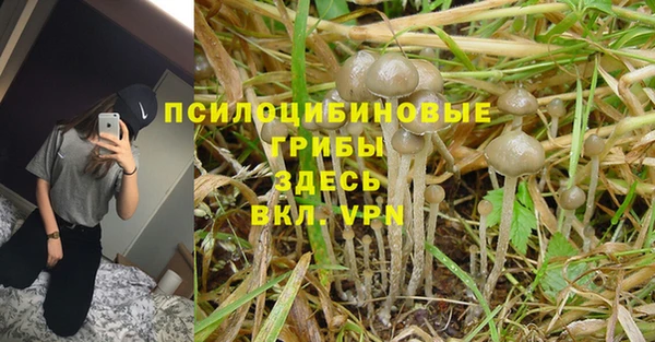 кокаин колумбия Абаза