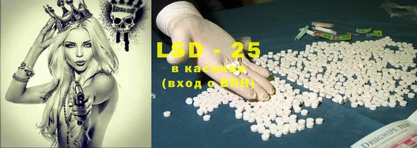 PSILOCYBIN Абдулино