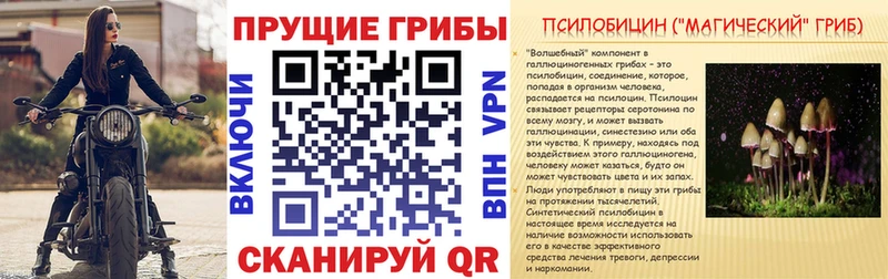 Псилоцибиновые грибы ЛСД  omg как зайти  Новосибирск 
